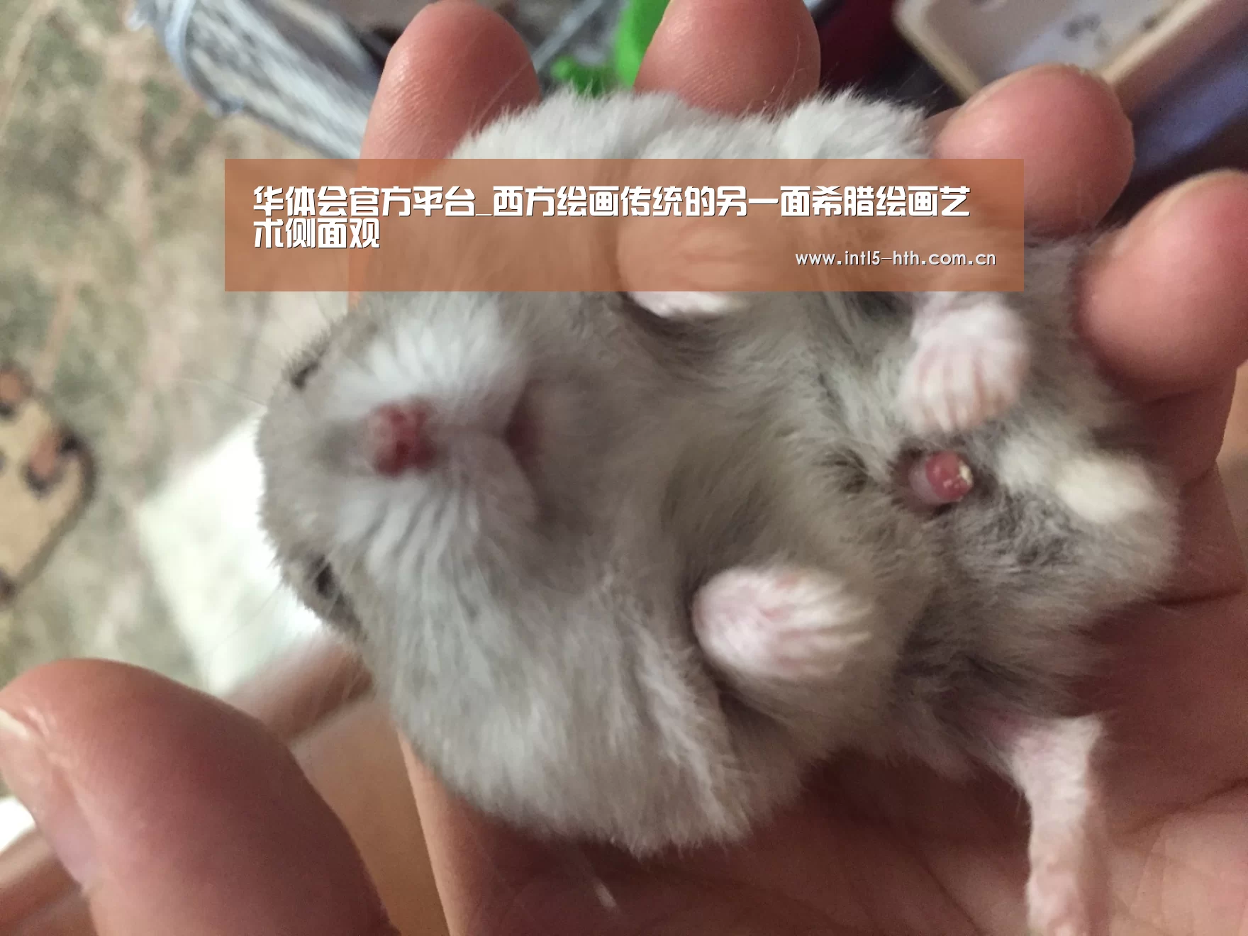 华体会官方平台_西方绘画传统的另一面希腊绘画艺术侧面观(图1) 华体会体育app下载