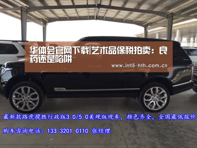 华体会官网下载|艺术品保税拍卖:良药还是陷阱(图1) 华体会官方网站入口
