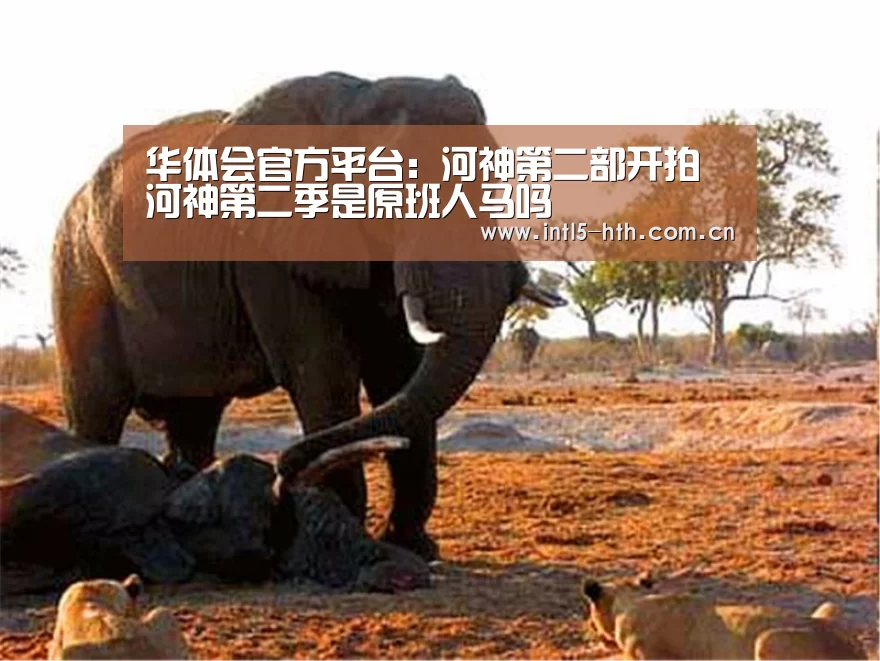 华体会体育app下载